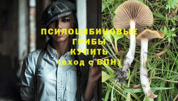 стафф Балахна